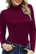 Trixiedress Turtleneck Long Sleeves Basic Bottoming Shirt