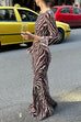 Trixiedress Boat Neck Bell Sleeves Animal Print Maxi Dress